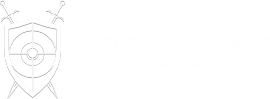 Pro Securitate